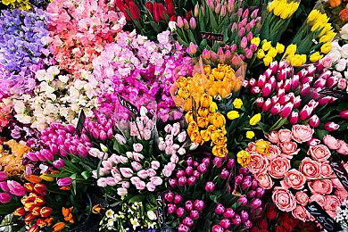 外媒评希望公开的15款游戏 《生化危机9》在列