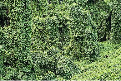 泰国团队《空洞骑士》like新作发布科隆预告