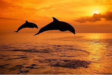 《迷你岛：宇宙》试玩Demo上线 7月2日发售